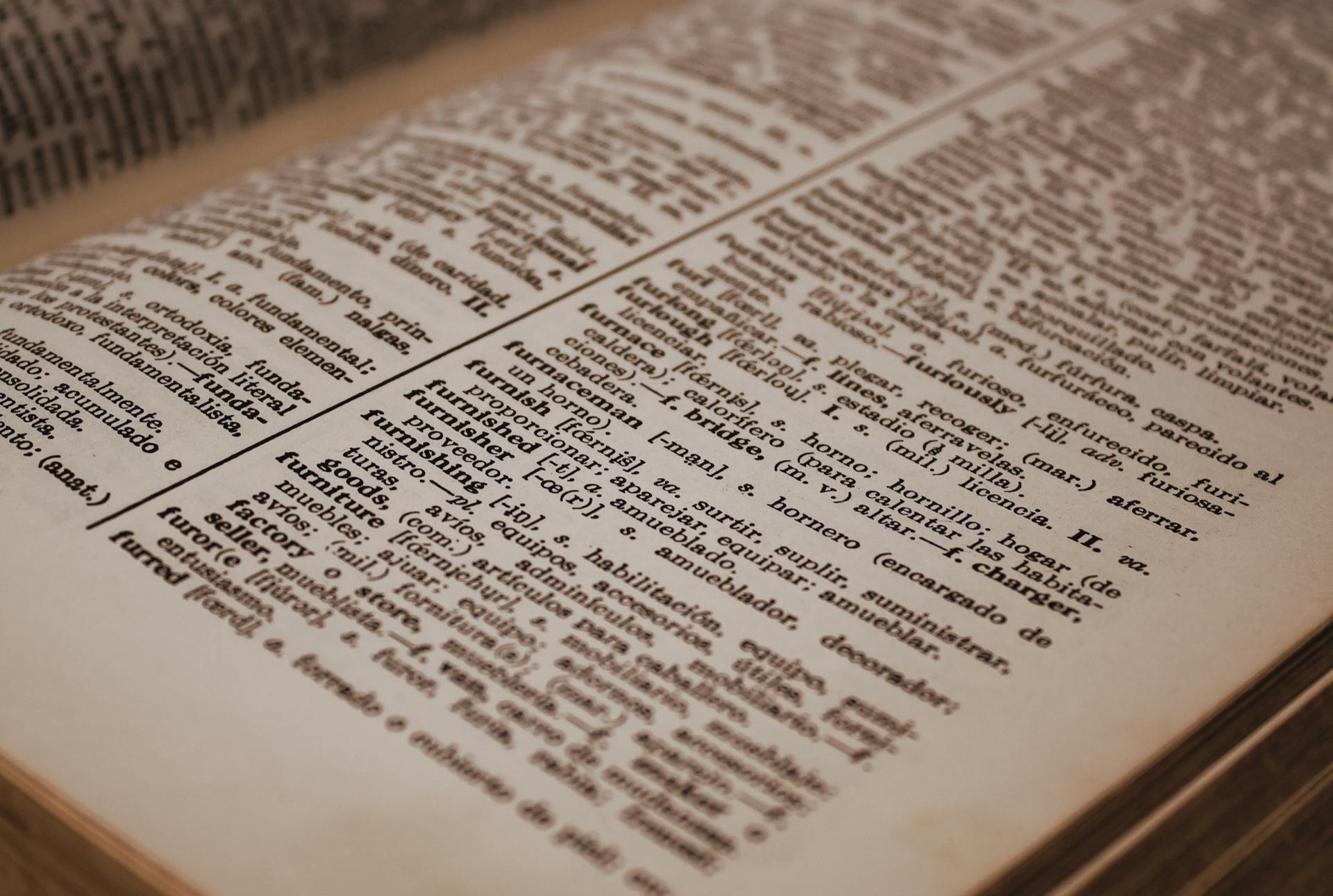 a close-up photo of a dictionary open to a page with most words out of focus
